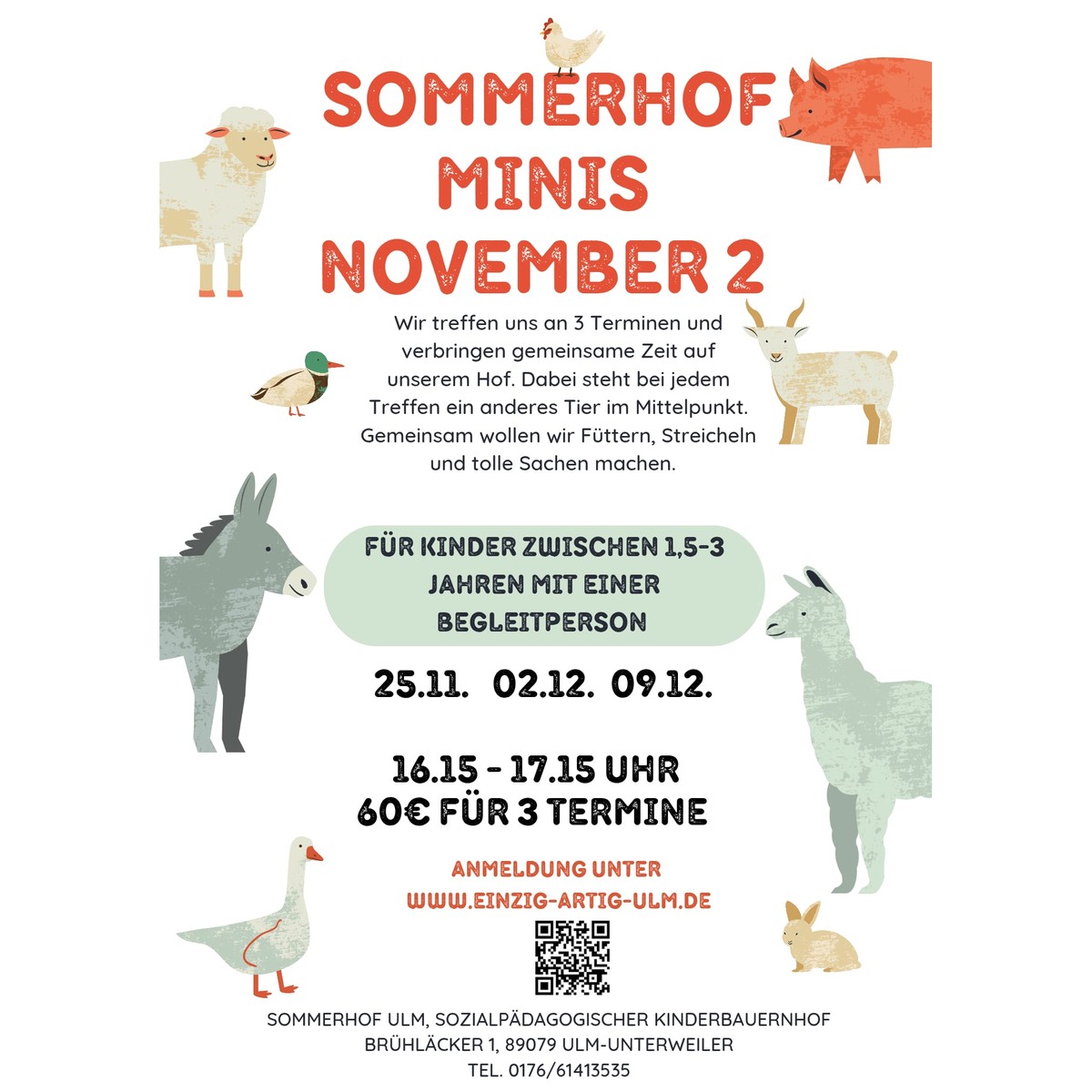 Sommerhof Minis November 2 – Kurs für Kinder von 1,5 bis 3 Jahren