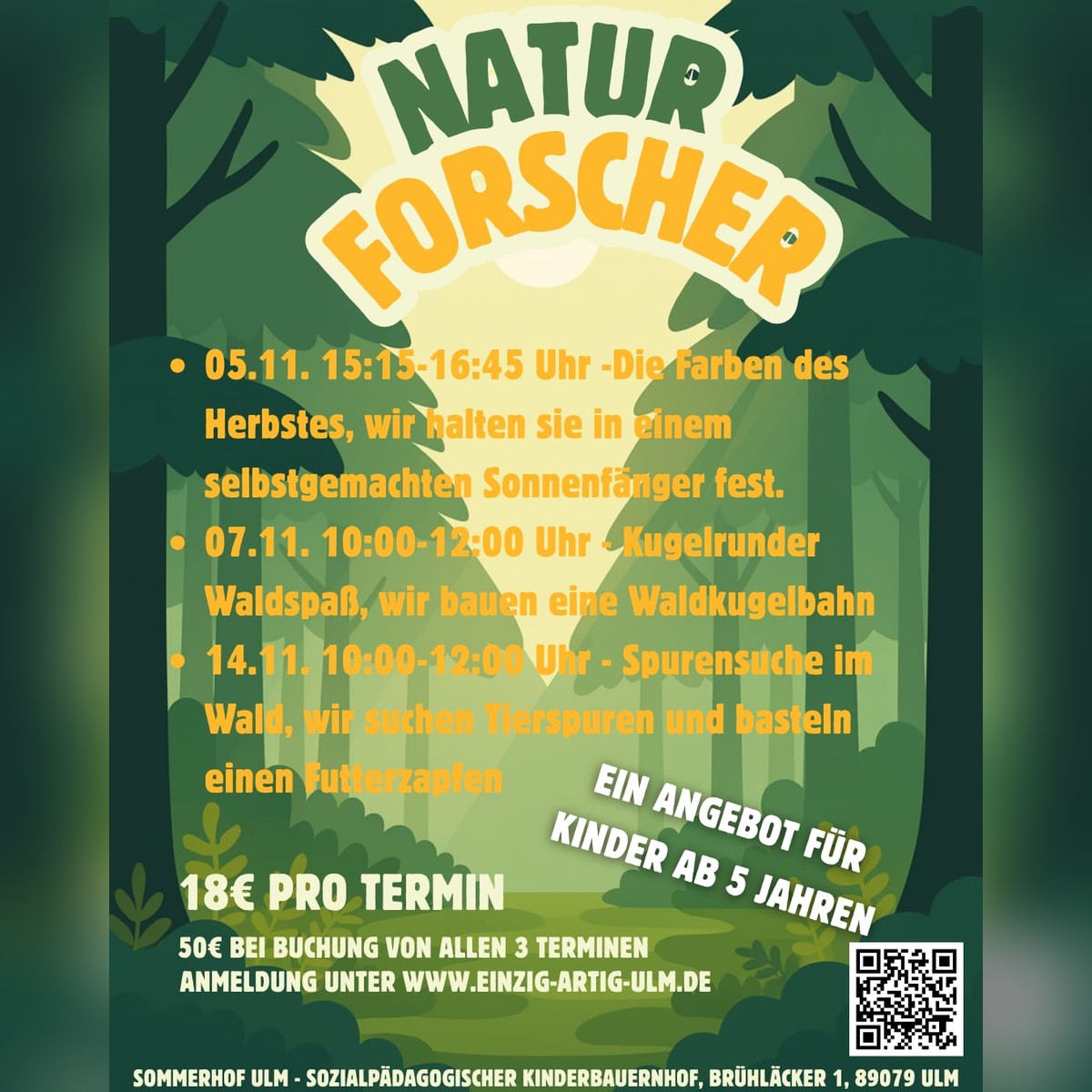 Naturforscher: Kugelrunder Waldspaß – für Kinder ab 5 Jahren