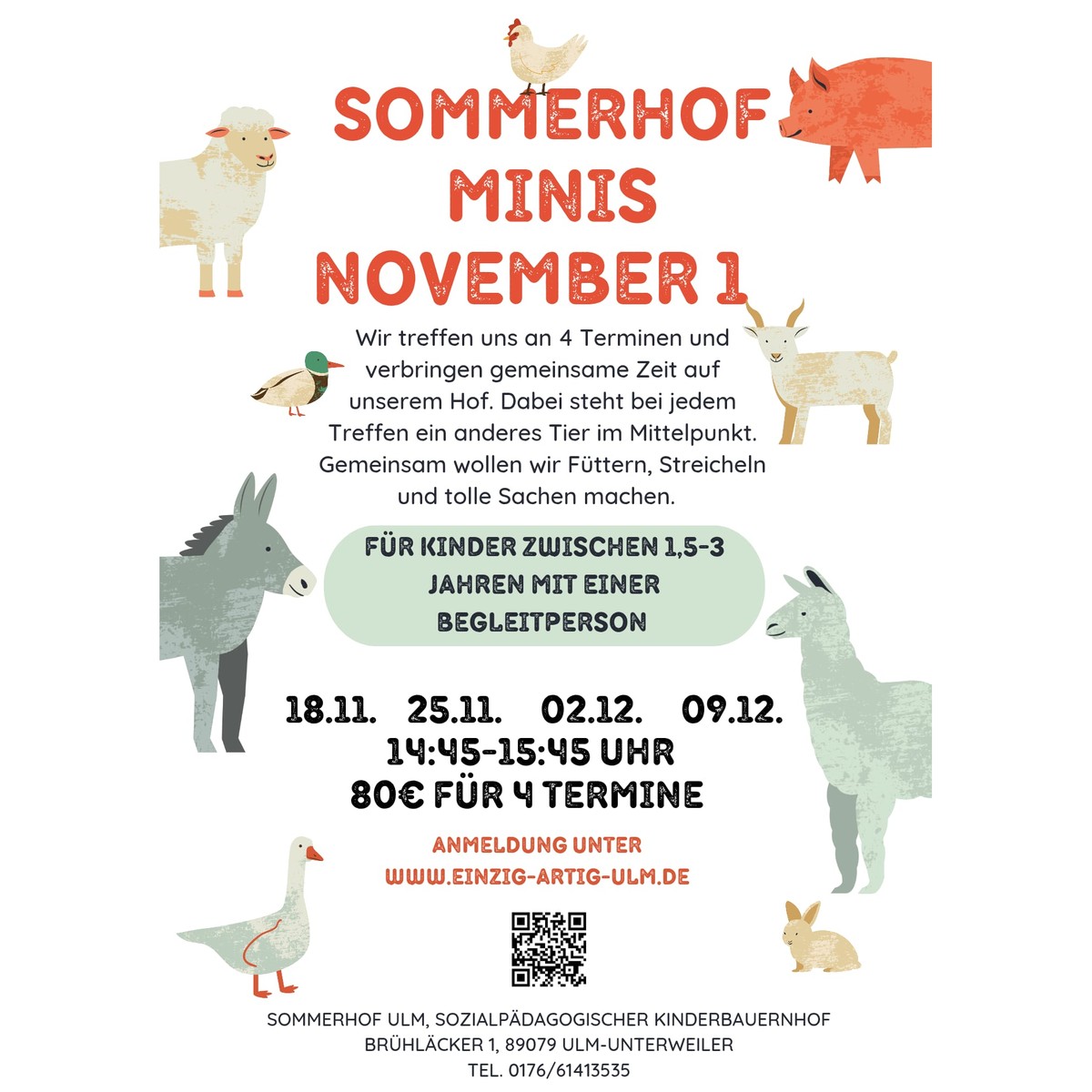 Sommerhof Minis November 1 – Kurs für Kinder von 1,5 bis 3 Jahren